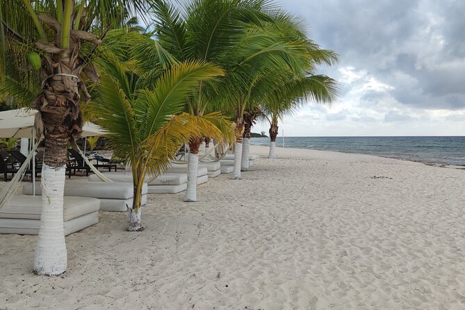 Cozumel Mayan Ruins and Beach Break - Price and value: $149.02 for a full day that actually makes sense