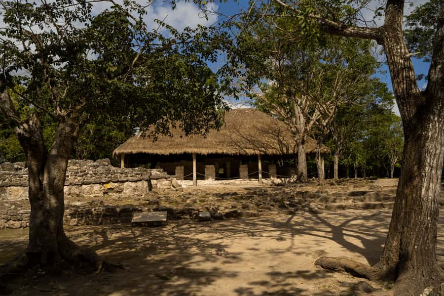 Cozumel: Mayan Ruins Guided Tour with Snorkeling & Lunch - Should you book this Cozumel Mayan Ruins with Snorkeling and Lunch tour?