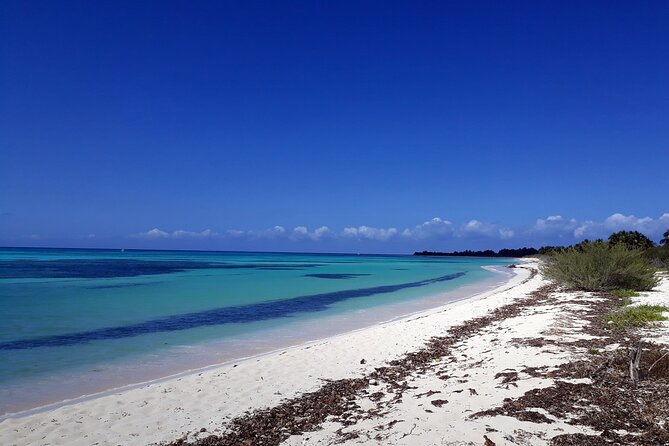 Cozumel National Park and Beach Break: Private Tour - Punta Sur Eco Beach Park: lighthouse climb, crocodiles, and a long beach break