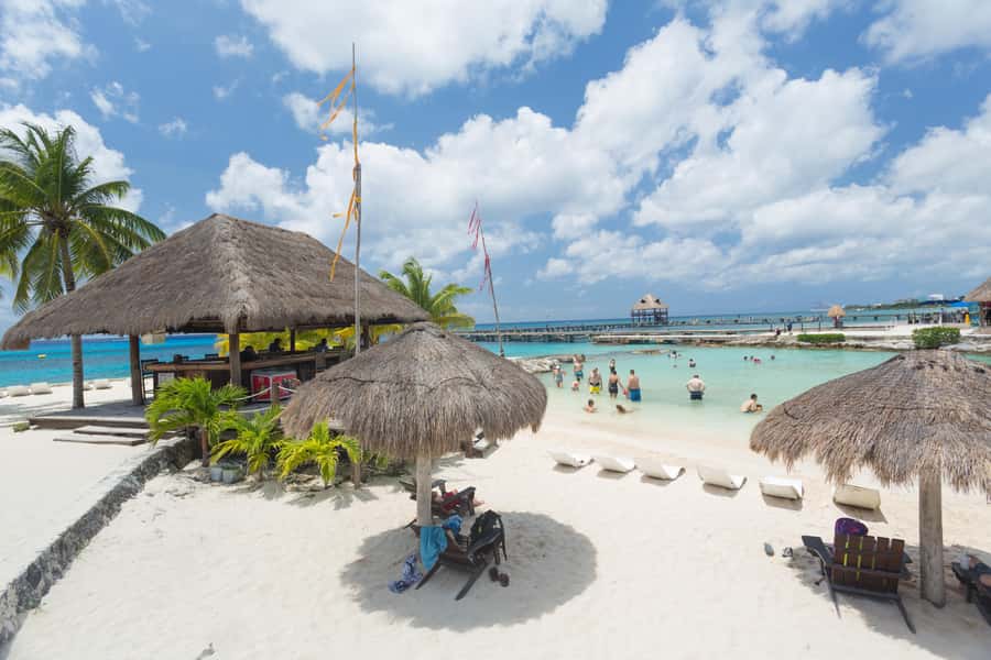 Cozumel: Official Chankanaab Park and Snorkeling with Lunch - Key highlights worth your attention