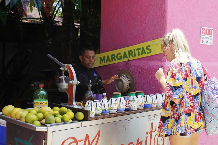 Cozumel: Official Chankanaab Park and Snorkeling with Lunch - Sea lion shows and beach time: the easy rhythm of the day