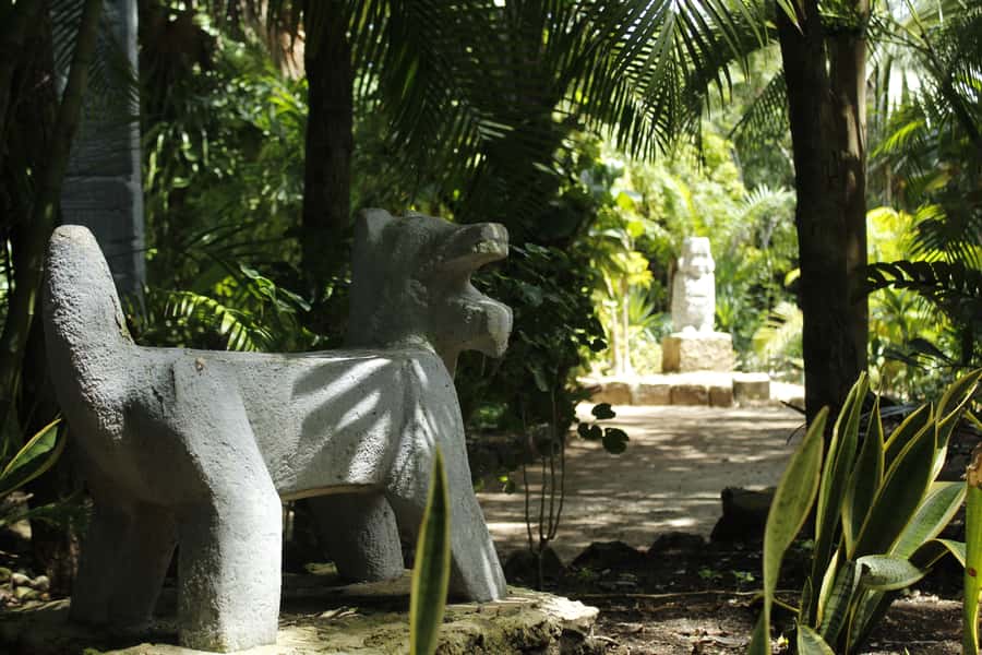Cozumel: Official Chankanaab Park and Snorkeling with Lunch - Botanical gardens: a calmer walk when you need a break