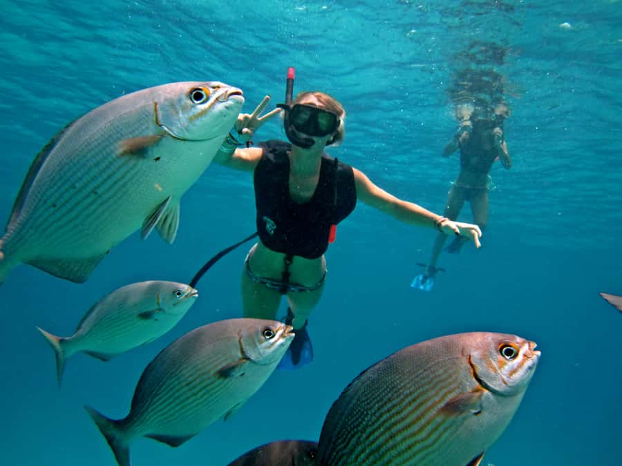 Cozumel: Official Chankanaab Park and Snorkeling with Lunch - Where this fits best (and who should skip it)