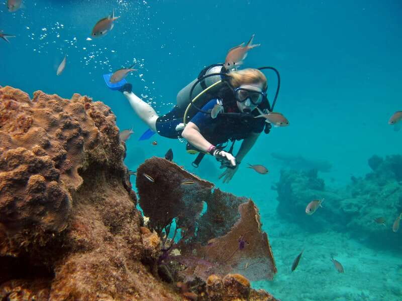 Cozumel: One Tank Scuba Dive and Full Chankanaab Park Access - Why Chankanaab is the smart Cozumel combo