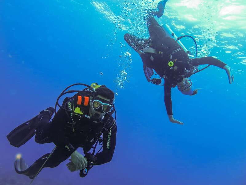Cozumel: One Tank Scuba Dive and Full Chankanaab Park Access - Getting your gear right: instruction that actually helps