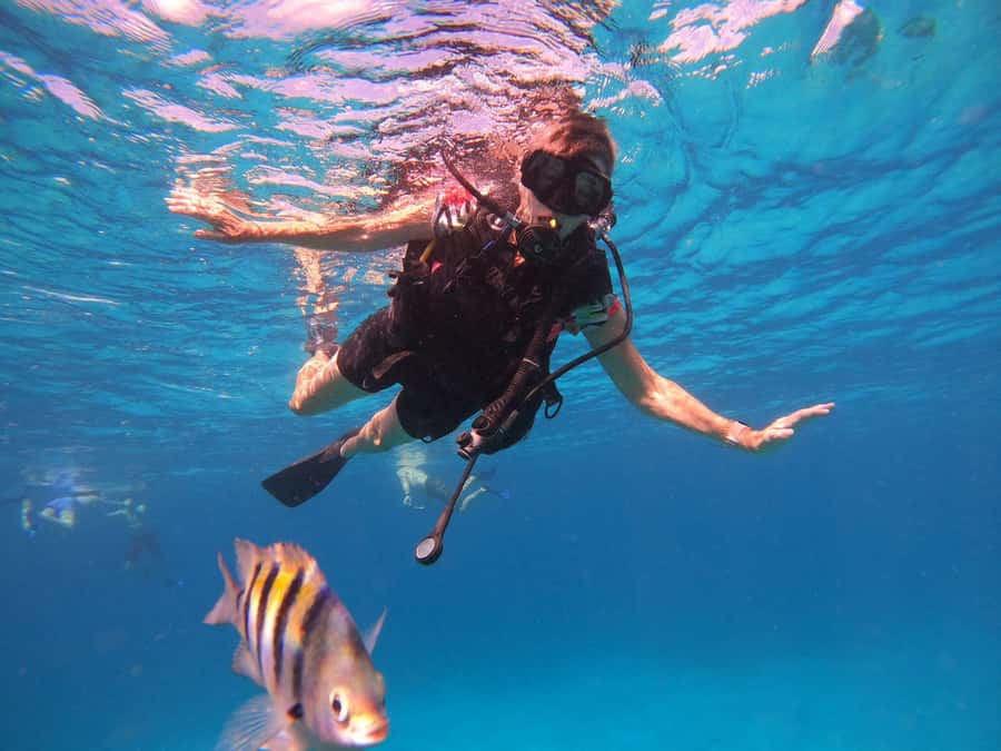 Cozumel: Palancar, Columbia and Cielo Reefs Snorkeling Tour - Should you book Palancar, Columbia and Cielo Reefs snorkeling tour?