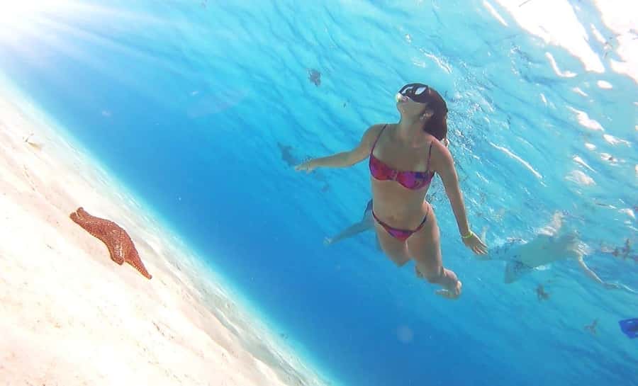 Cozumel: Palancar, Columbia and Cielo Reefs Snorkeling Tour - Playa El Cielo: the one-hour guided shoreline moment