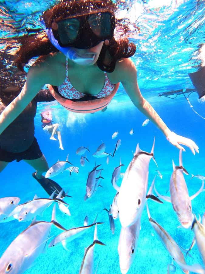 Cozumel: Palancar, Columbia and Cielo Reefs Snorkeling Tour - After snorkeling: ceviche, snacks, and the drinks you’ll actually want