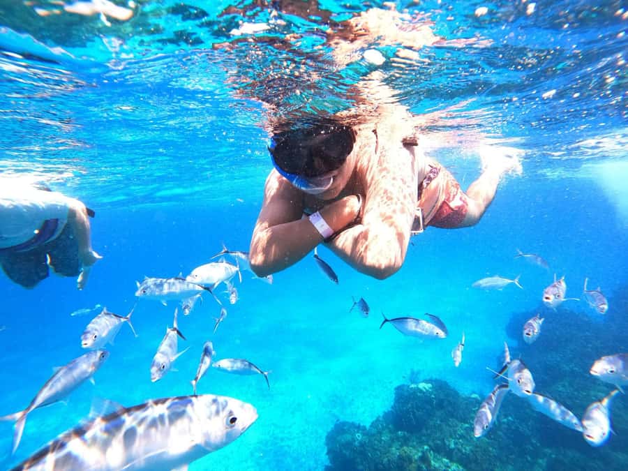 Cozumel: Palancar, Columbia and Cielo Reefs Snorkeling Tour - Price and value: why $52 can be a good deal (or not)