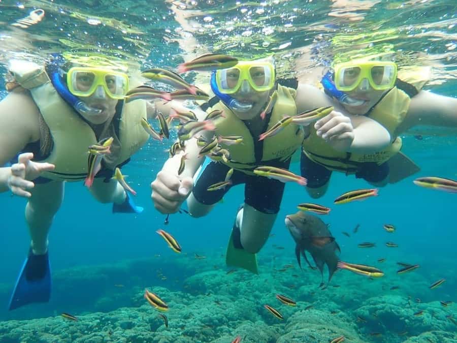 Cozumel: Palancar, Columbia and Cielo Reefs Snorkeling Tour - Common issues I’d plan around: gear and timing