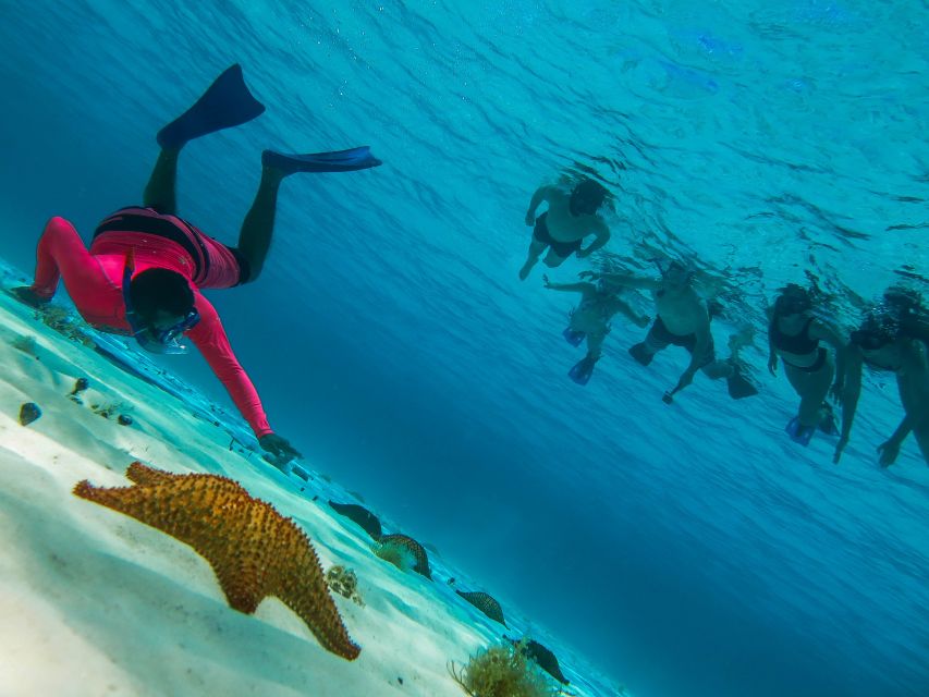 Cozumel: Palancar, Columbia and Cielo Reefs Snorkeling Tour - Who this Cozumel snorkeling trip suits best