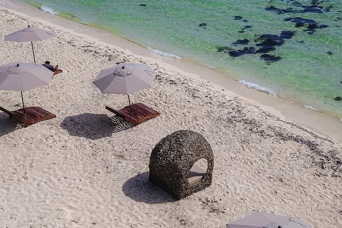 Cozumel Playa Palancar VIP All Inclusive Day Pass - Who this is best for (and who should think twice)