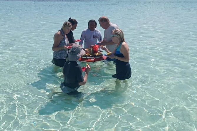 Cozumel Private 4-hour Boat Tour to El Cielo with Snorkeling - Timing in a 4-Hour Window: How the Day Actually Runs