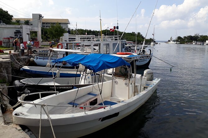 Cozumel Private 4-Hour Boat Tour to Passion Island - Cozumel’s Sunken Ferry Stop: Shallow Water, Coral, and Fish Spots