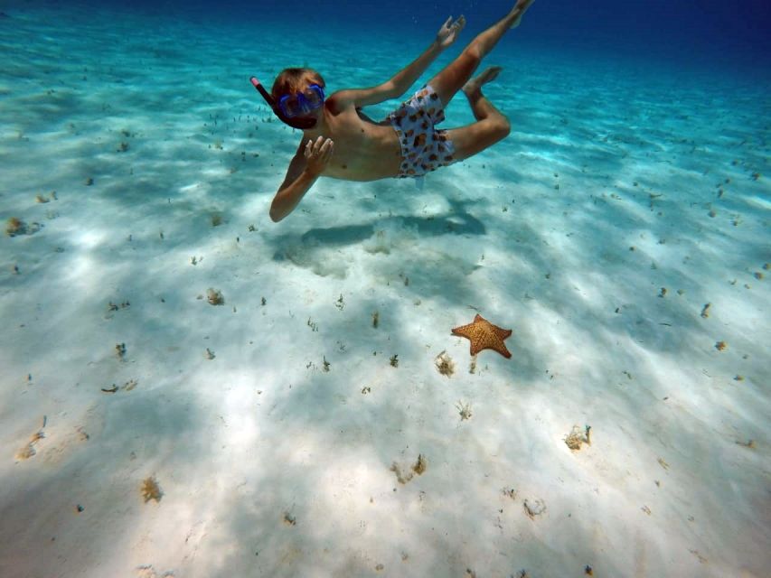 Cozumel: Private Charter Boat and Snorkel Day Trip - The Secluded Reef Snorkel: Guided, Equipment-Supported, Not Just Trial-and-Error