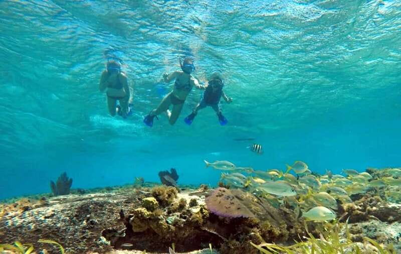 Cozumel: Private Charter Boat and Snorkel Day Trip - Meet at Marina Fonatur: Getting There Smoothly (and What to Expect On Arrival)