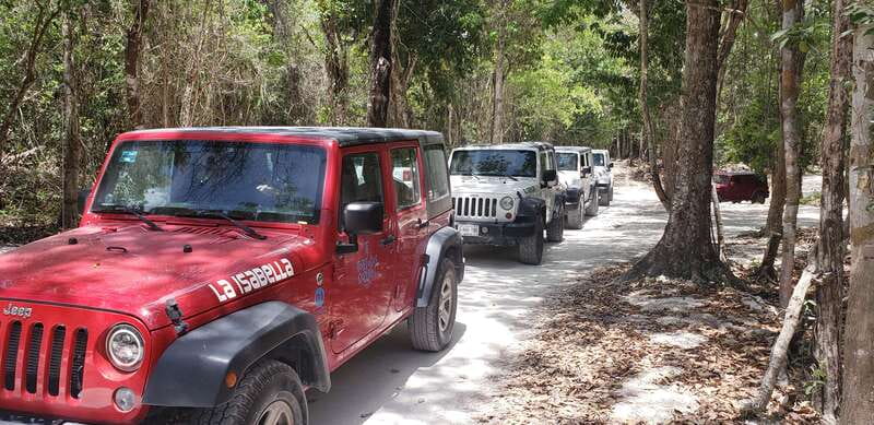 Cozumel: Private Jeep Tour Shore Excursion - San Martin Virgin Beaches and Turtle Hatching Program