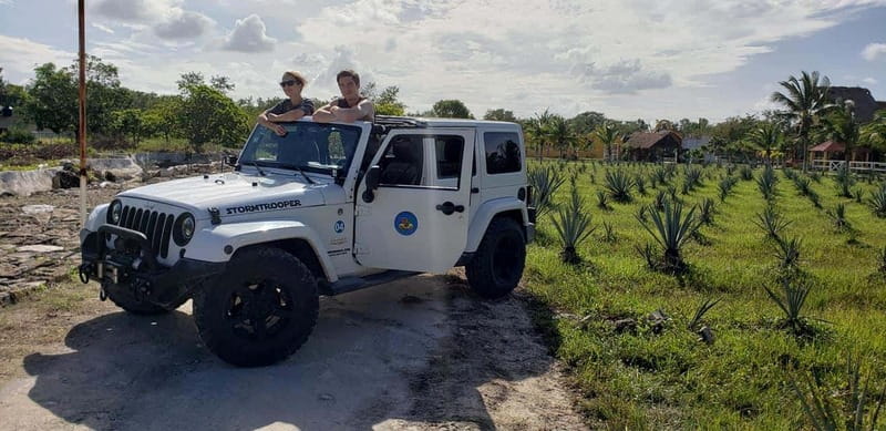 Cozumel Private Jeep Tour with Lunch and Snorkeling - Stops You Can Add: Archaeology, Caves, Punta Sur, and Dolphin Options