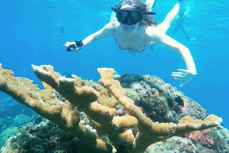 Cozumel: Private Snorkel Tour El Cielo + 3 Reefs Food Drinks - Key things I’d focus on before you go