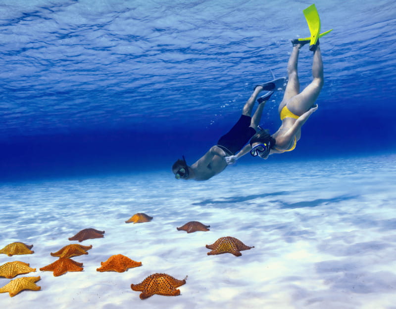 Cozumel: Private Snorkel Tour El Cielo + 3 Reefs Food Drinks - Palancar Reef: Your First Real Taste of Cozumel Water