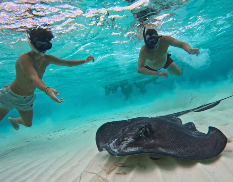 Cozumel: Private Snorkel Tour El Cielo + 3 Reefs Food Drinks - Colombia Reef: Colorful Fish and a Change of Pace