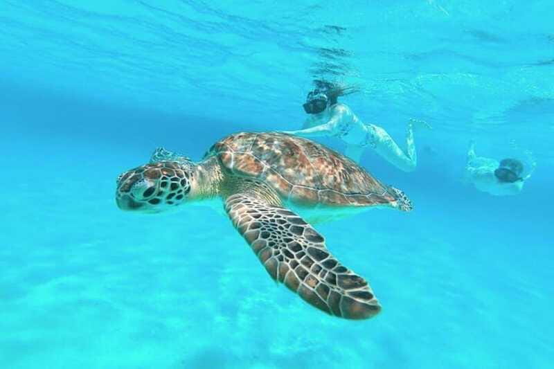 Cozumel: Private Snorkel Tour El Cielo + 3 Reefs Food Drinks - El Cielo: Where the Starfish Photos Actually Make Sense