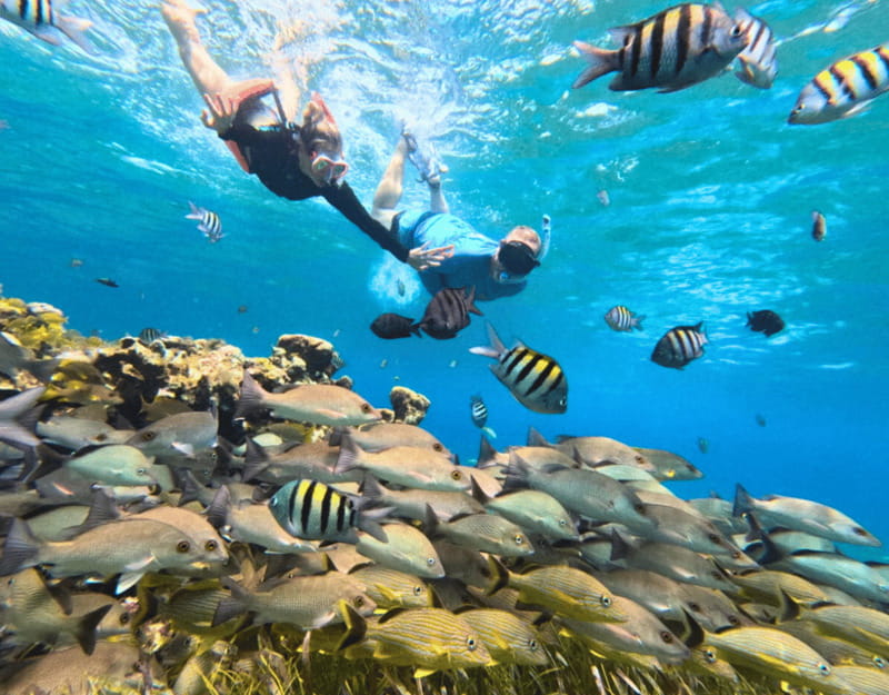 Cozumel: Private Snorkel Tour El Cielo + 3 Reefs Food Drinks - El Cielito Natural Pool: Clear Water and Harmless Manta Rays