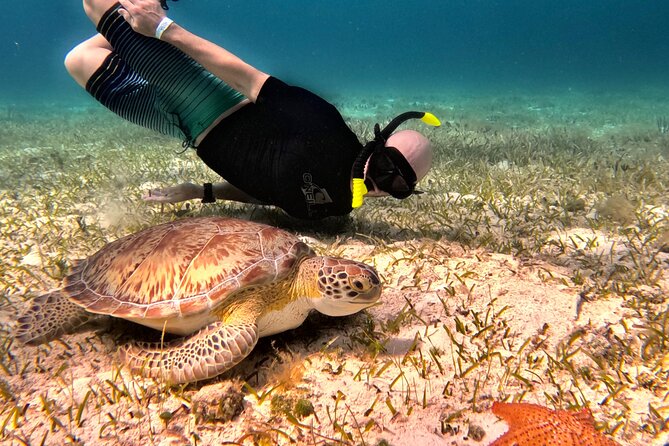 Cozumel Private Snorkeling and Charter Experience - Your day on the water: how the timing actually works