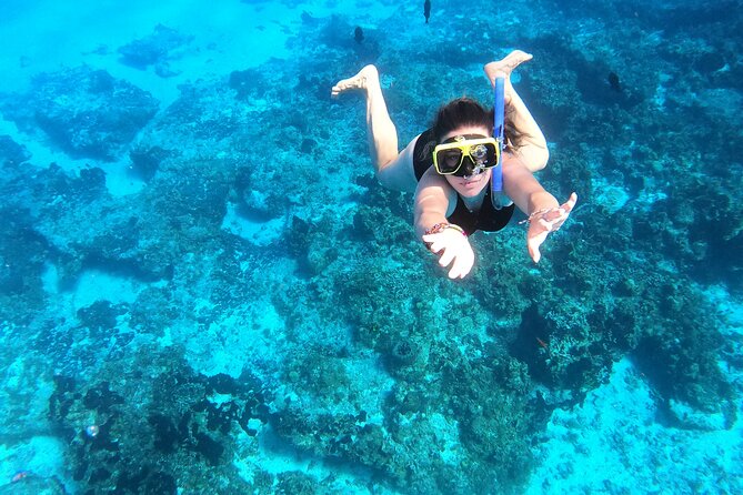 Cozumel Private Snorkeling and Charter Experience - Onboard setup: comfort, safety, and what you’ll actually eat