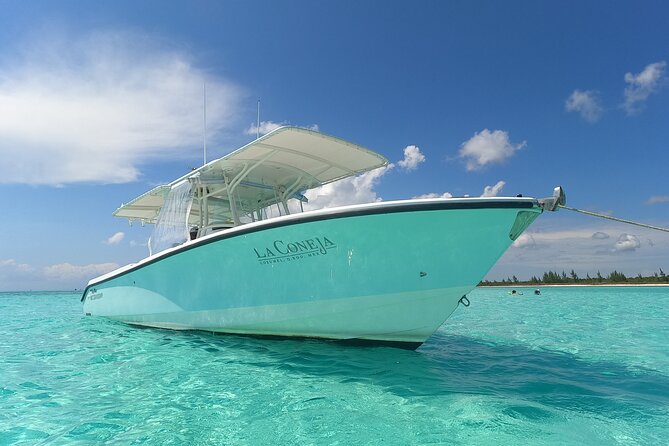 Cozumel Private Snorkeling and Charter Experience - Who this charter suits best (and who should think twice)