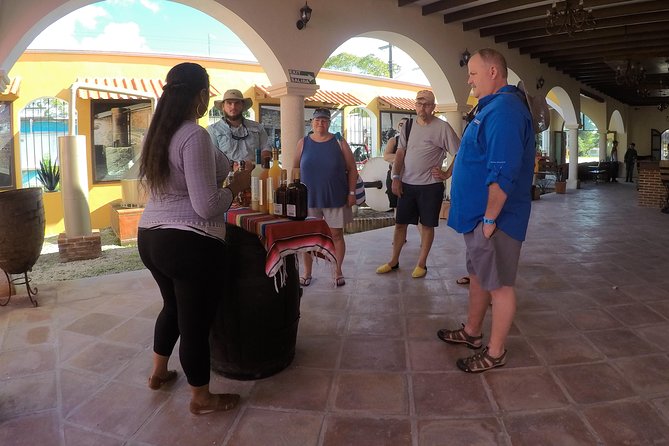 Cozumel Private Van Service with Snorkel Tour - Punta Sur Eco Beach Park: The Signature Nature Stop