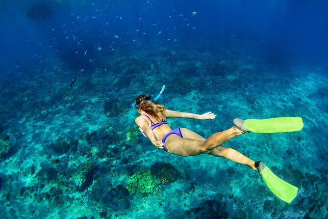 Cozumel Reef Snorkeling Tour - Stop-by-stop snorkeling: what each reef gives you