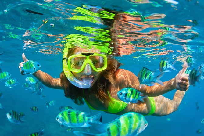 Cozumel Reef Snorkeling Tour - What’s included in the water (so you can pack smart)