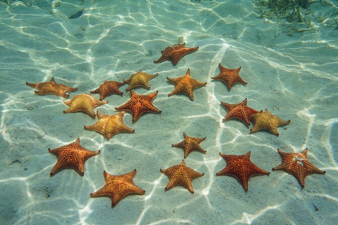 Cozumel Reef Snorkeling Tour - Crew matters more than you think