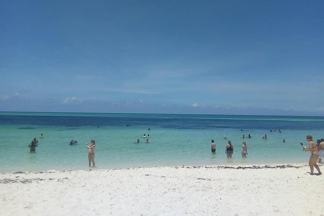 Cozumel round transportation to the beaches - Choosing Your Beach Club: Carlos and Charlie’s, Paradise Beach, Mr. Sancho’s, Palancar, Punta Morena