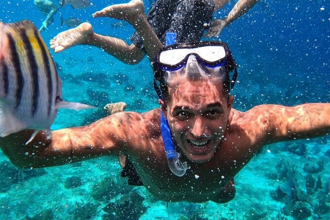 Cozumel's Reefs in El Cielo, Palancar and Columbia Guided Tour - The 4.5-hour reef route: what the timing really means