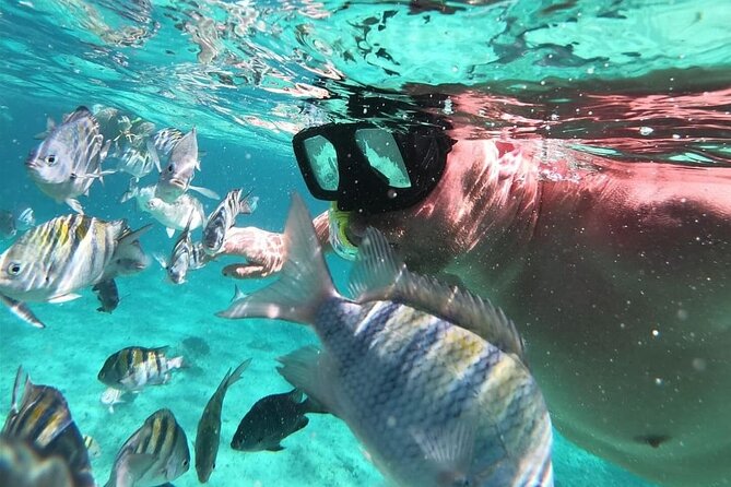 Cozumel's Reefs in El Cielo, Palancar and Columbia Guided Tour - Stop 1: Columbia Reef—best for the deep-water feel