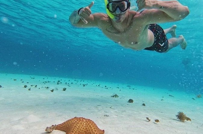 Cozumel's Reefs in El Cielo, Palancar and Columbia Guided Tour - Stop 3: El Cielo Cozumel—starfish sandbank and easy standing water