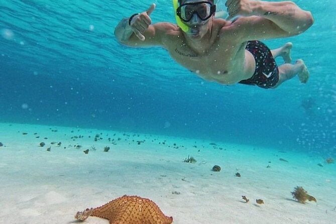 Cozumel's Reefs in El Cielo, Palancar and Columbia Guided Tour - Price and logistics: the real cost of “$28.50”