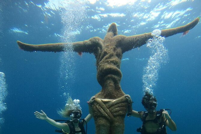 Cozumel Scuba Dive at Chankanaab - Key highlights you’ll feel right away