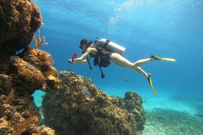 Cozumel Scuba Dive at Chankanaab - Chankanaab Park: the easiest way to start scuba in Cozumel