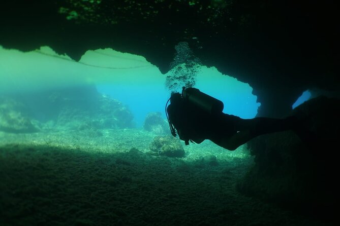 Cozumel Scuba Dive at Chankanaab - Stop 2: Chankanaab Reef (marine life that’s easy to enjoy)