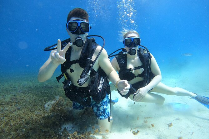 Cozumel Scuba Dive at Chankanaab - Stop 3: Parque Nacional Arrecifes de Cozumel (structure, not chaos)