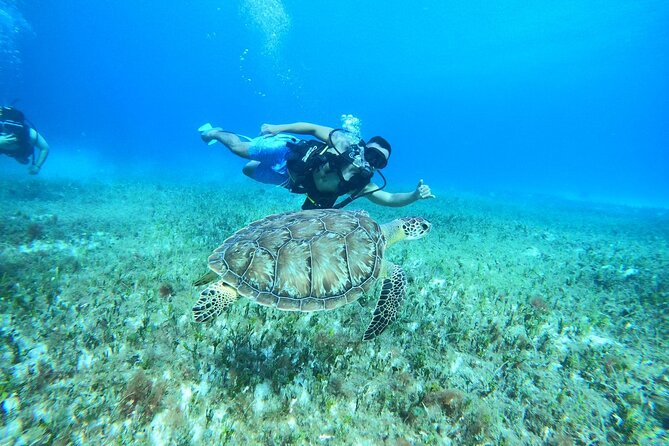 Cozumel Scuba Dive at Chankanaab - Guides make or break your first time: the best names you’ll hear