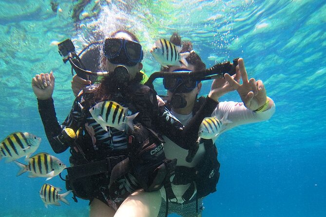 Cozumel Scuba Dive at Chankanaab - Price and value: $85 plus what to account for