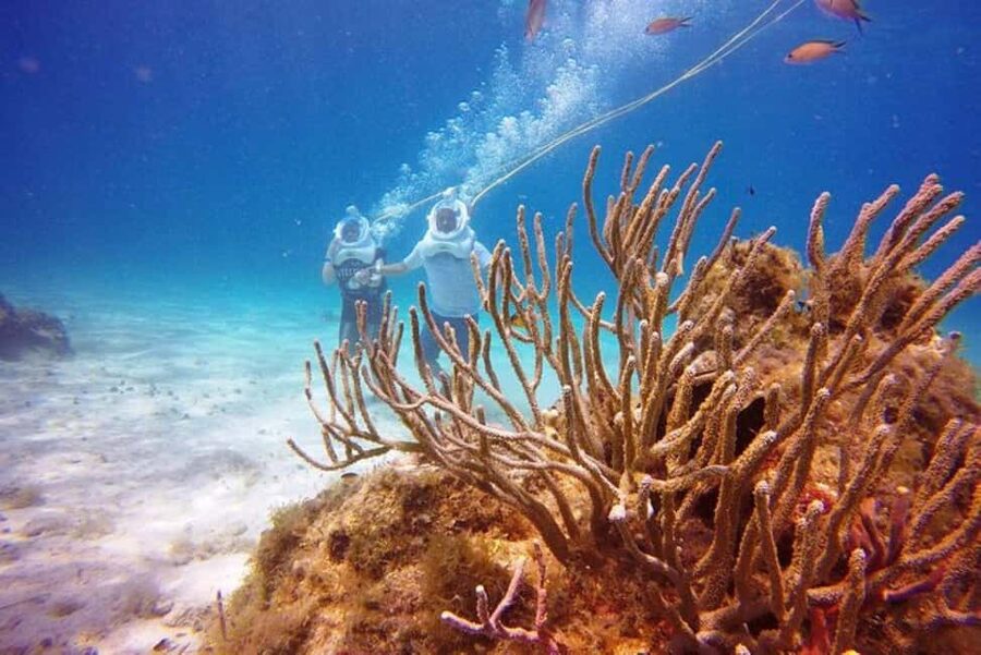 Cozumel: Sea Trek Adventure at Chankanaab National Park - Key things to know before you go