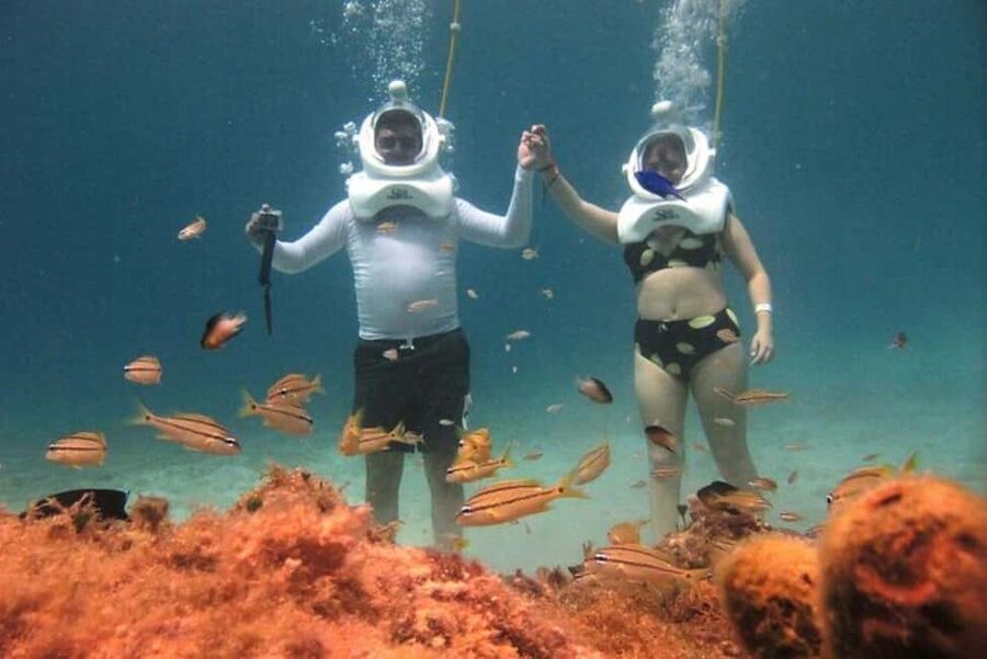 Cozumel: Sea Trek Adventure at Chankanaab National Park - The 2-hour flow: orientation, helmet walk, and snorkel time after