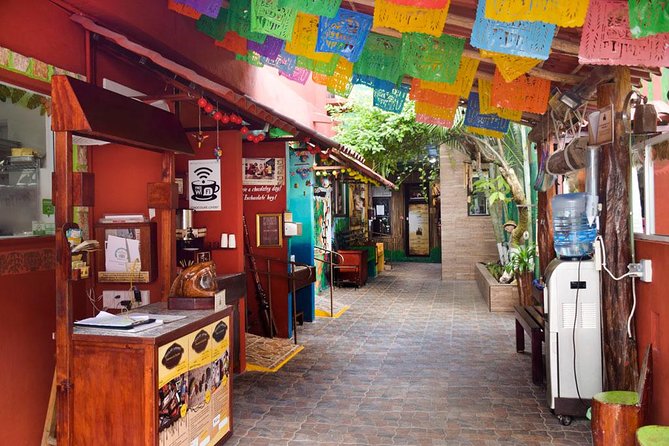 Cozumel Shore Excursion: 5-Hour Sightseeing Tour with Private Driver - Stop 3: Tequila at Mi Mexico Lindo, plus honey drinks for kids