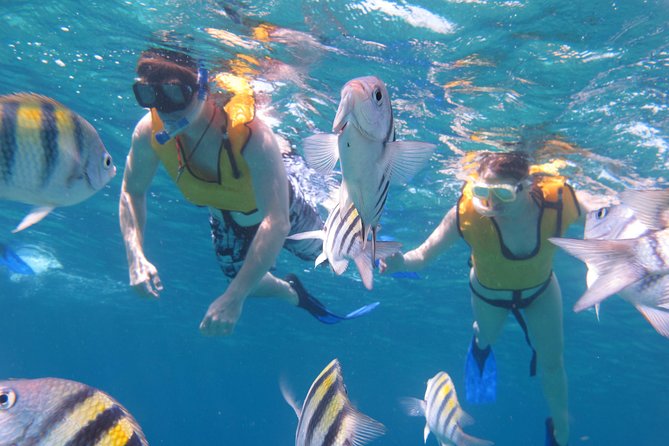 Cozumel Shore Excursion: Playa Uvas Private Beach Pass - Lunch and drinks: generous service, with a few mixed notes