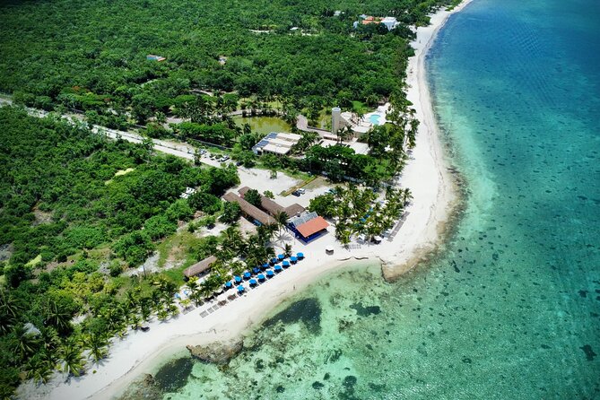 Cozumel: Shore Excursions for Royal Caribbean Cruise Passengers - Choosing Your Cozumel Time: Town, Culture, Beaches, and Optional Food